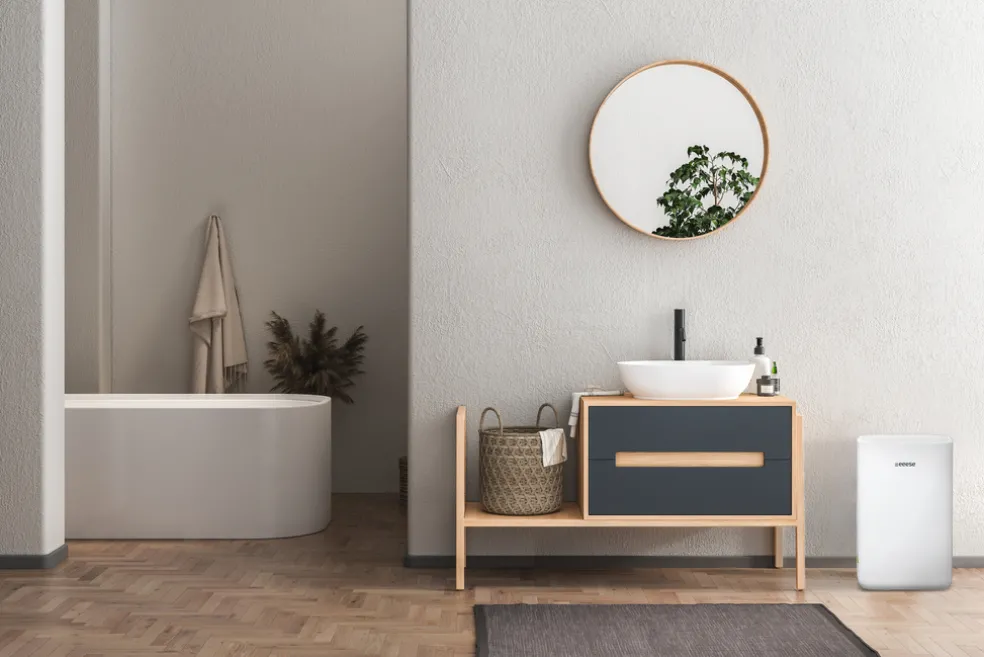 Avfuktare Oskar 10 L 40 m² Eeese aircare
