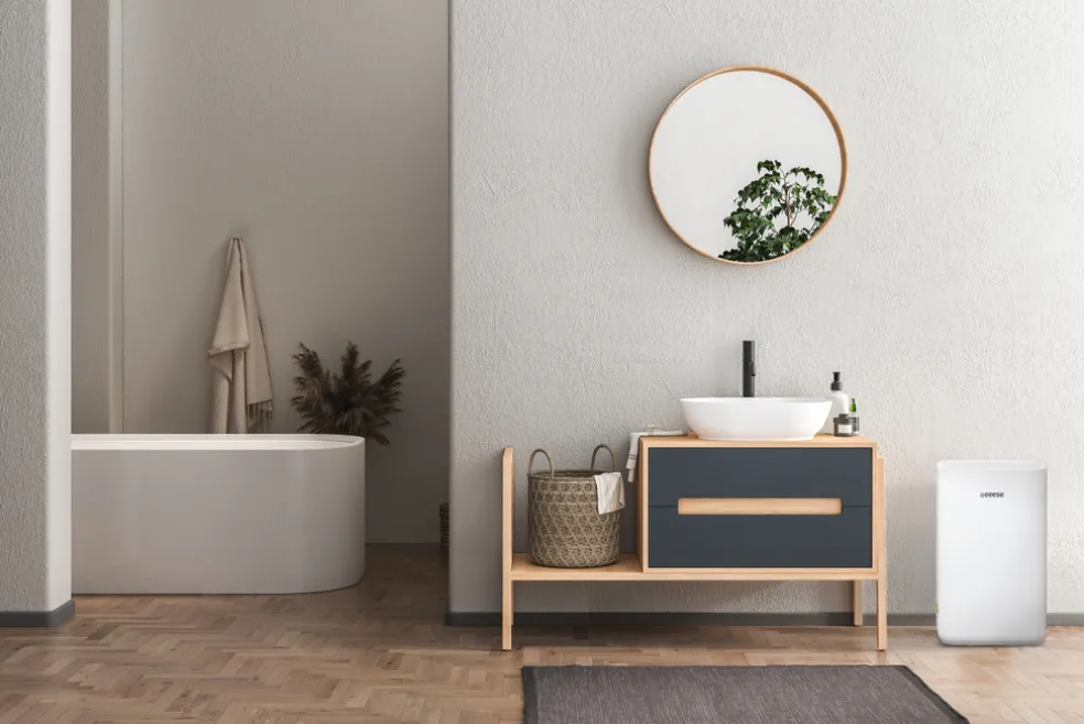 Avfuktare Oskar 20 L 100 m² Eeese aircare