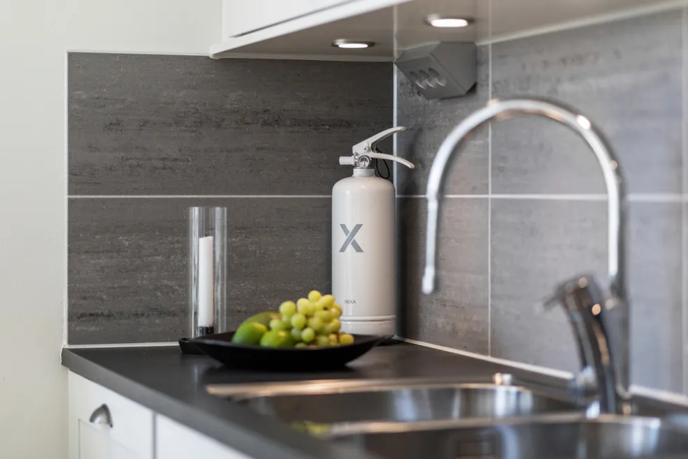Brandsläckare Vit 2 kg Nexa