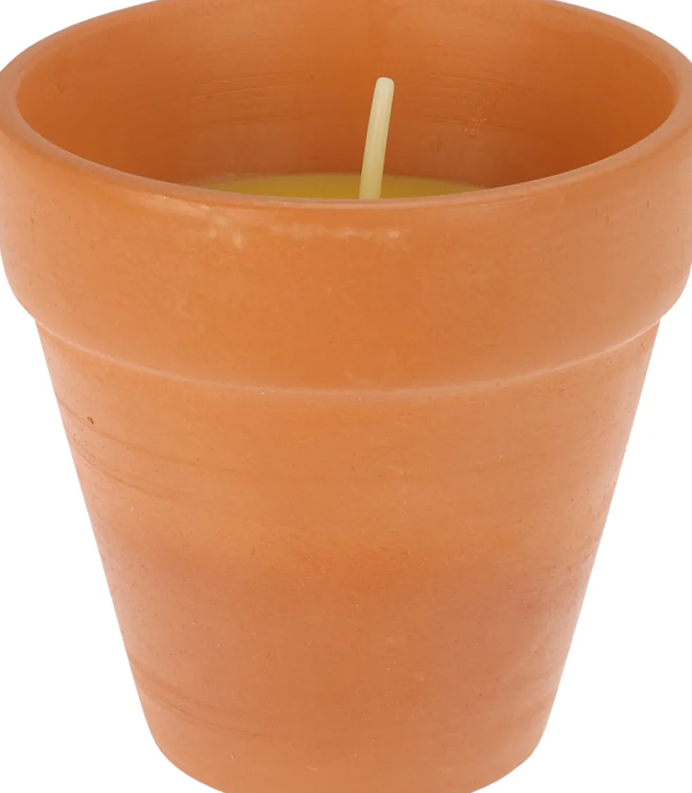 Citronella-ljus 9 cm