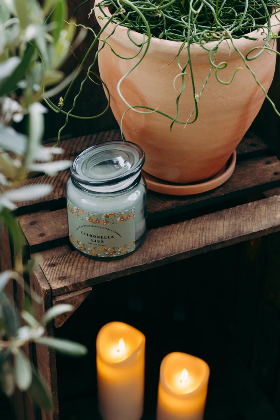 Citronella-ljus Grön 11 cm