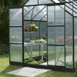 Dubbeldörrar Växthus Merkur Svart 630 x 1800 mm Vitavia