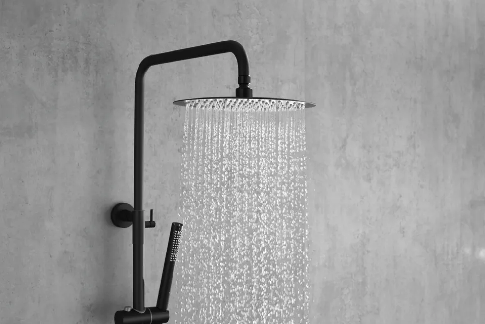 Duschstångset Svart Ø250 mm