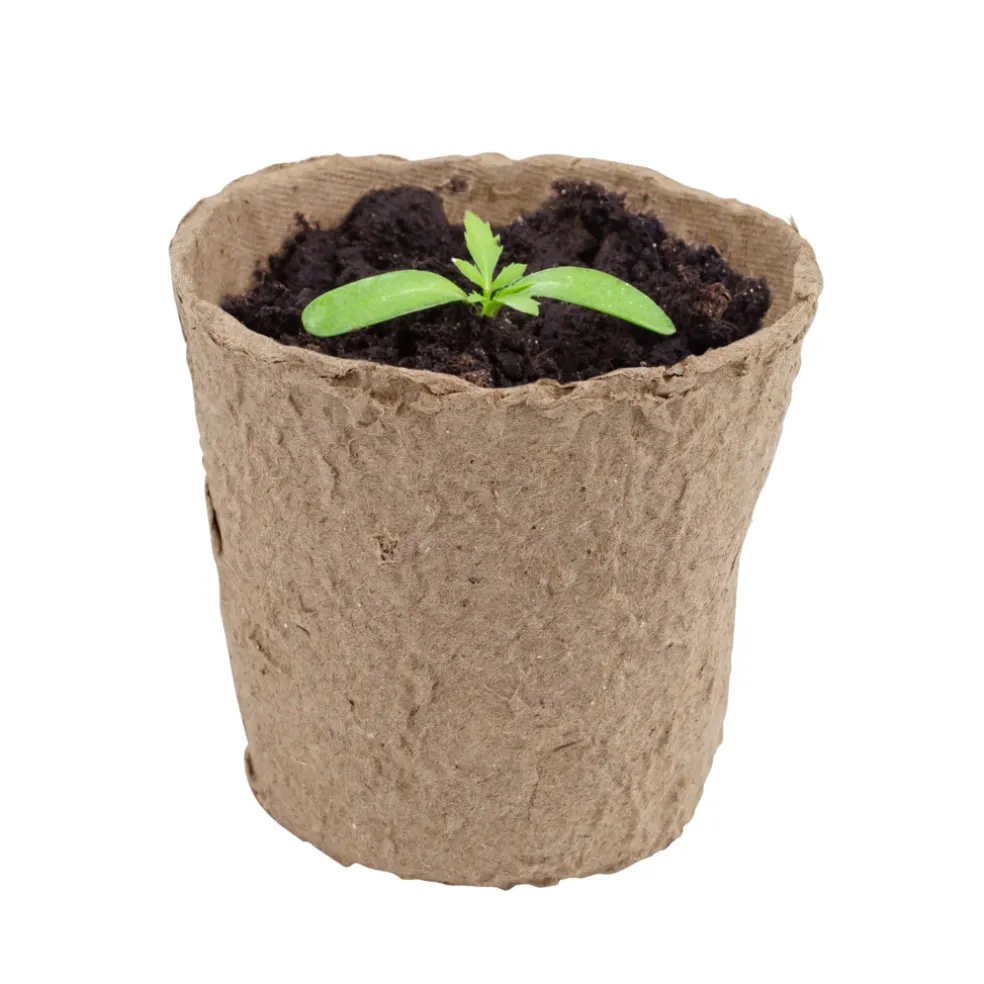Fiberkruka 26-pack Garden