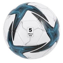 Fotboll PVC Ø22 cm