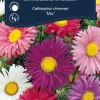 Frö Aster Sommar 'Mix' Weibulls