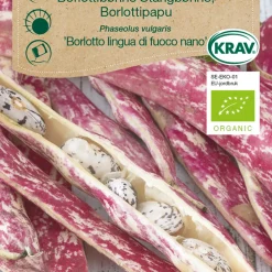 Frö Böna ‘Borlotto lingua di fuoco nano’ KRAV Weibulls