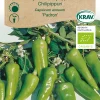 Frö Chilipeppar 'Padron' KRAV Weibulls