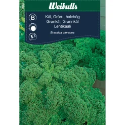Frö Grönkål 'Westlandse Herfst' Weibulls
