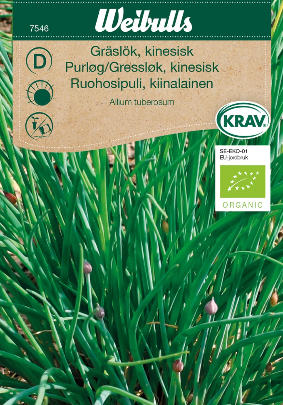 Frö Gräslök Kinesisk KRAV Weibulls