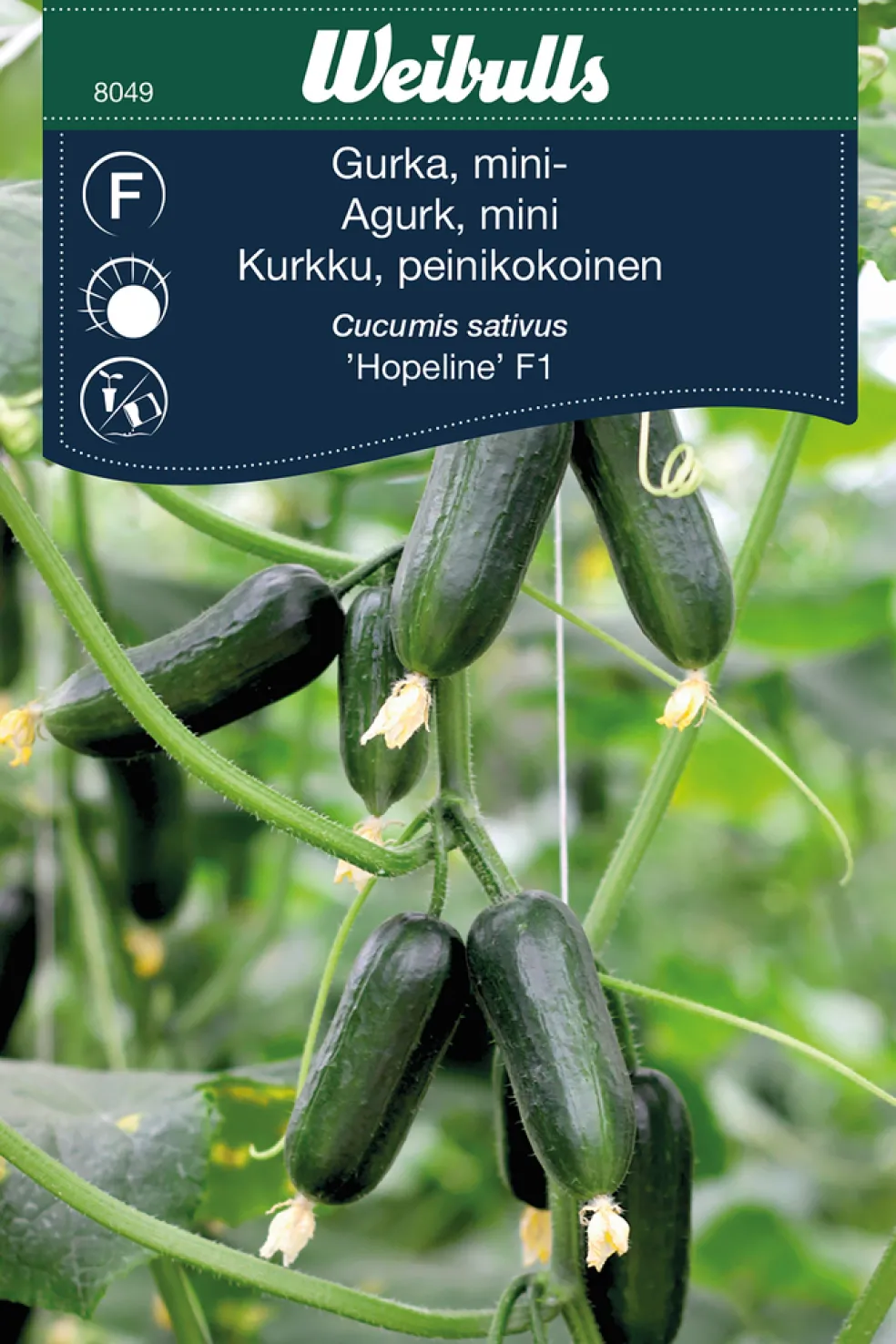 Frö Gurka Mini 'Hopeline F1' Weibulls