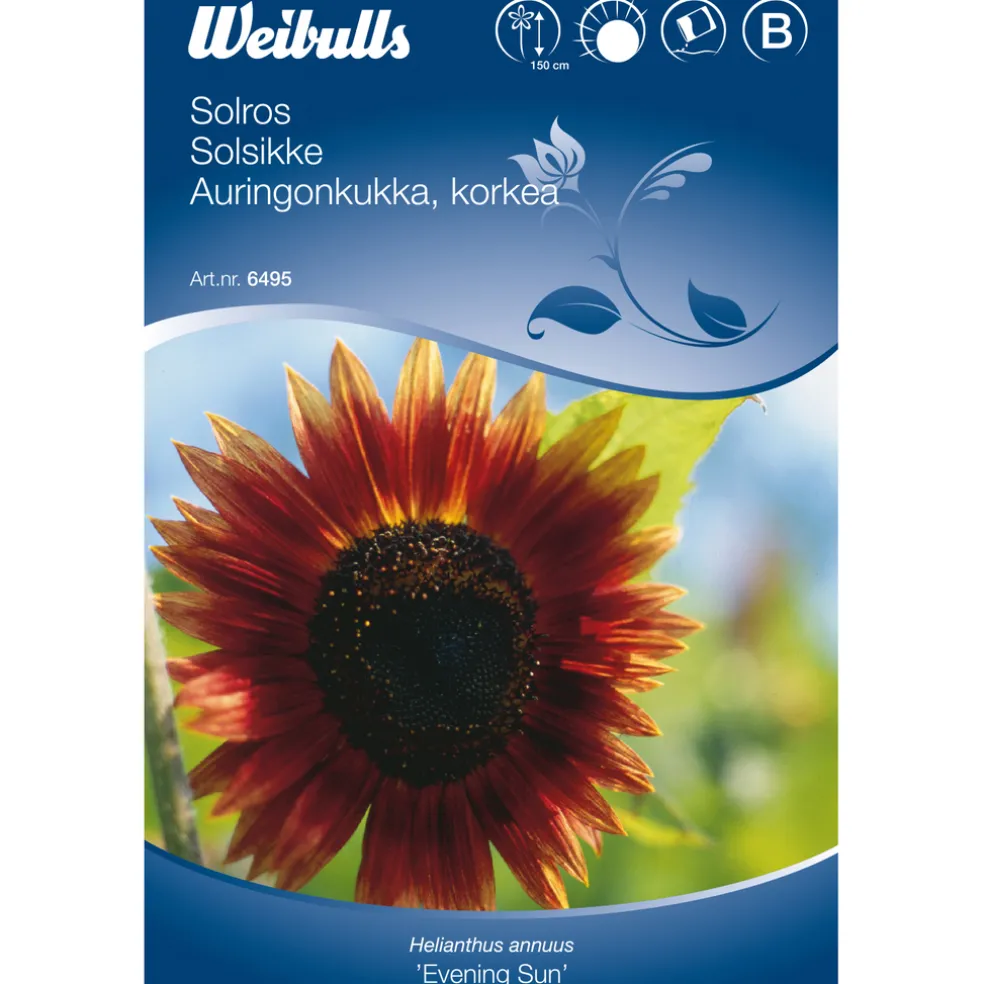 Frö Solros 'Evening Sun' Weibulls