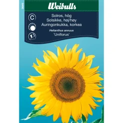 Frö Solros ‘Uniflorus’ Weibulls