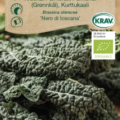 Frö Svartkål 'Nero di Toscana' KRAV Weibulls