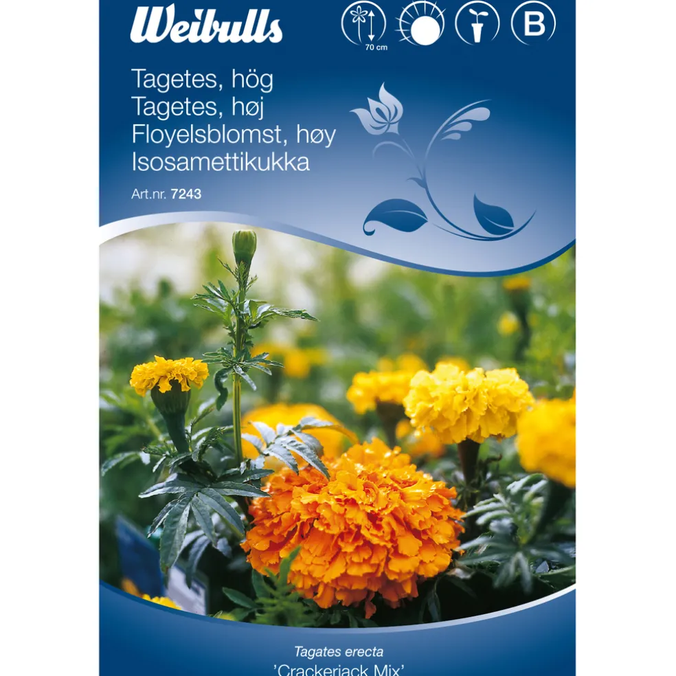 Frö Tagetes 'Crackerjack Mix' Weibulls