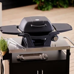 Gasolgrill Bärbar 3,2 kW Grillexpert
