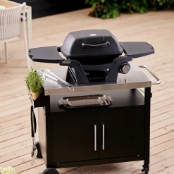 Gasolgrill Bärbar 3,2 kW Grillexpert
