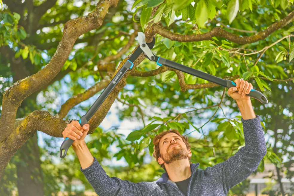 Grensax EnergyCut Pro L Gardena