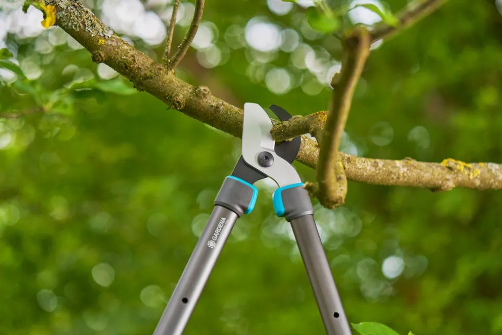 Grensax TeleCut Pro S Gardena