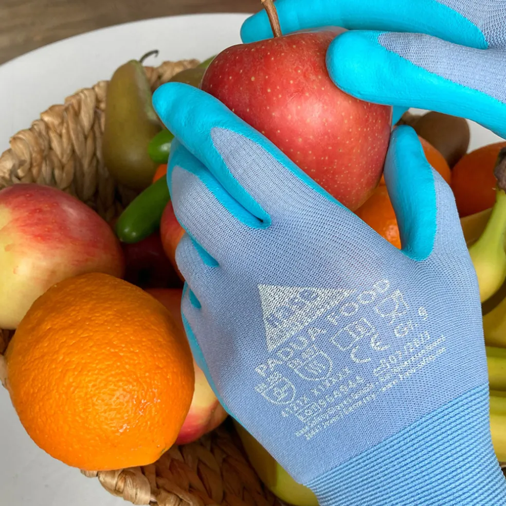 Handske Padua Food Strl. 10 Hase Safety Gloves
