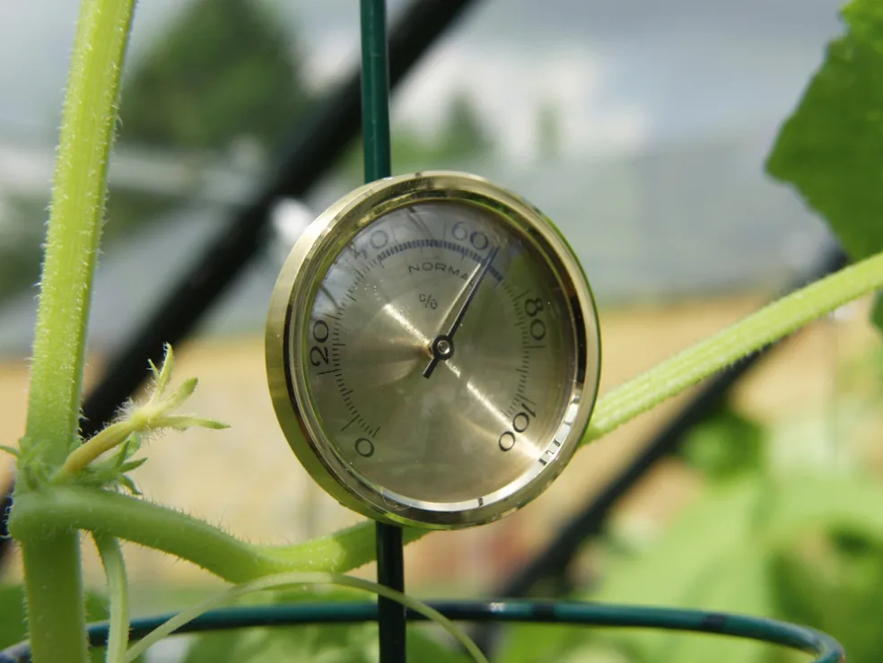 Hygrometer Växthus Ø45 mm Vitavia