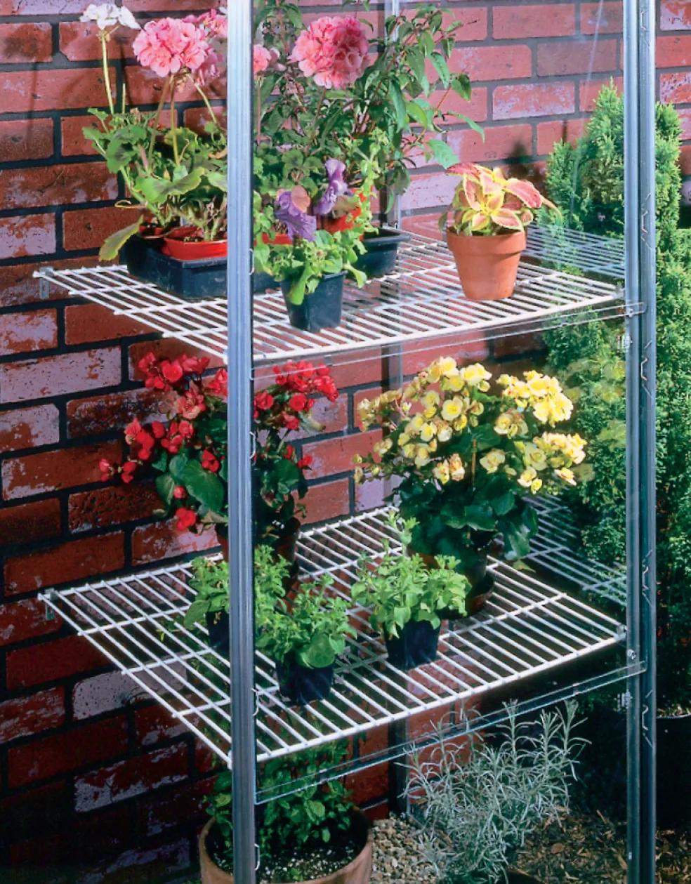 Hyllset Växthus Ida Alu 60 x 60 cm Vitavia