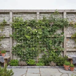 Jutenät t/spaljé 180 x 180 cm Garden