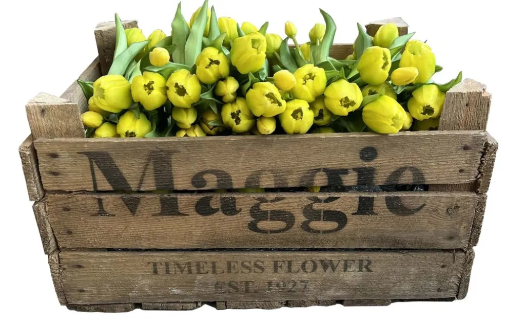 Konstblomma Tulpan Gul 5-pack