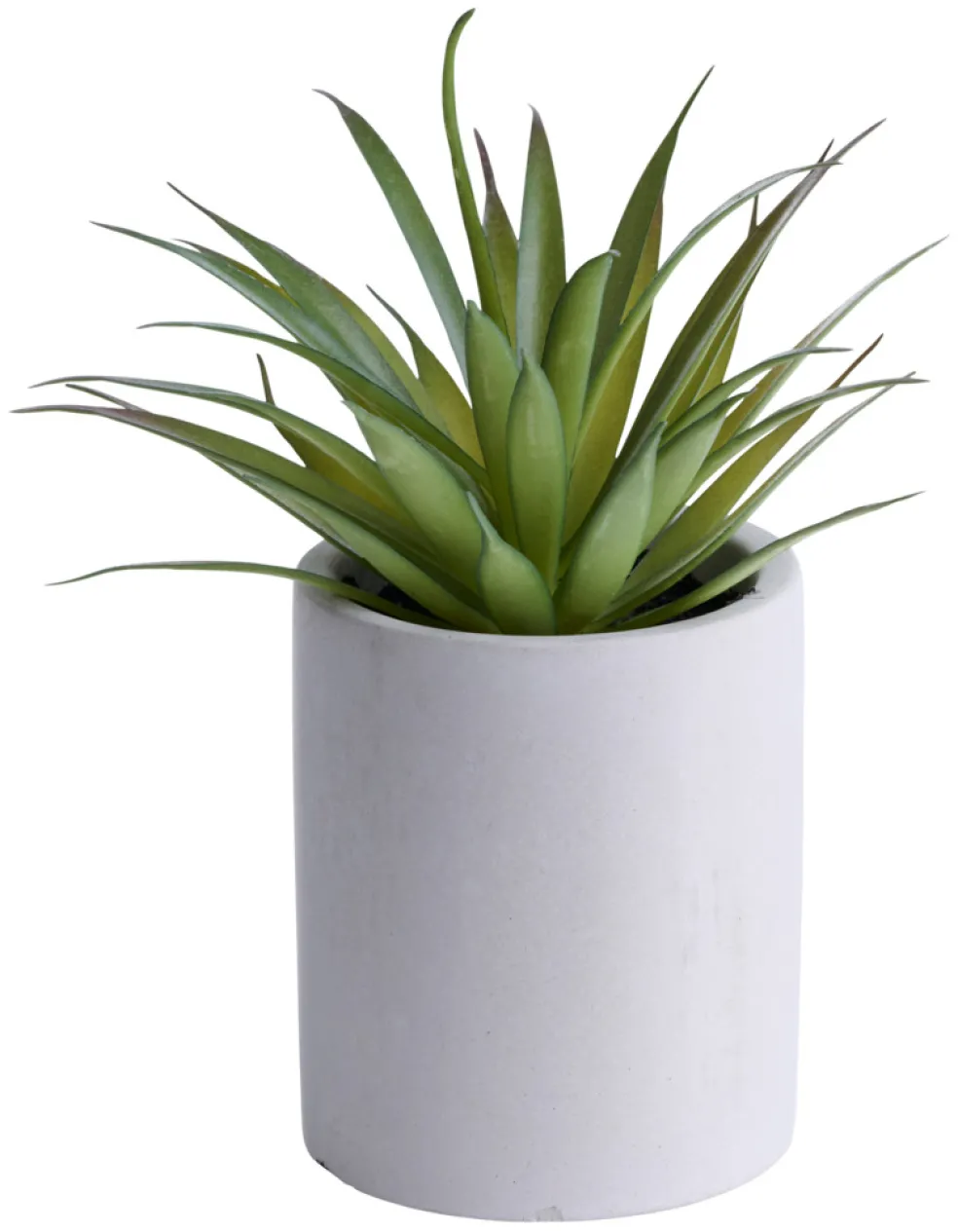 Konstväxt Agave Ø7,4 x 19 cm