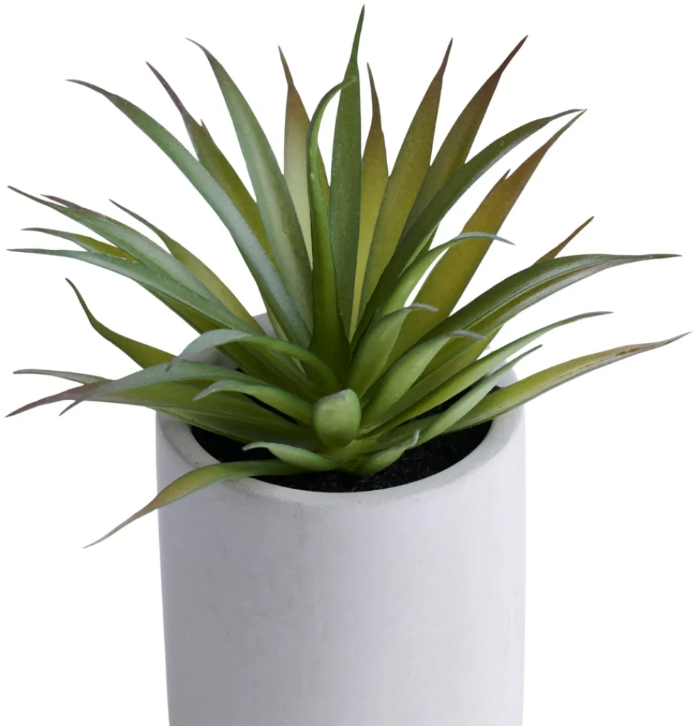 Konstväxt Agave Ø7,4 x 19 cm