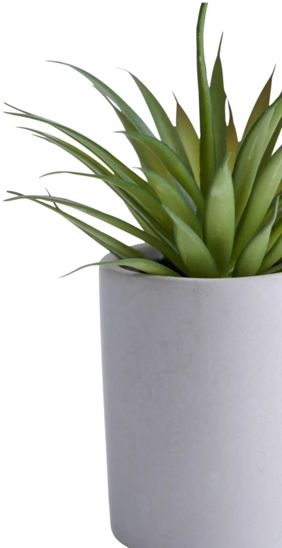 Konstväxt Agave Ø7,4 x 19 cm