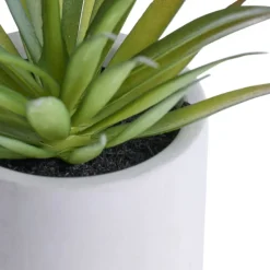 Konstväxt Agave Ø7,4 x 19 cm