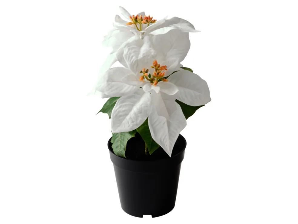 Konstväxt Julstjärna Vit 32 cm