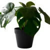 Konstväxt Monstera 26 x 23 cm