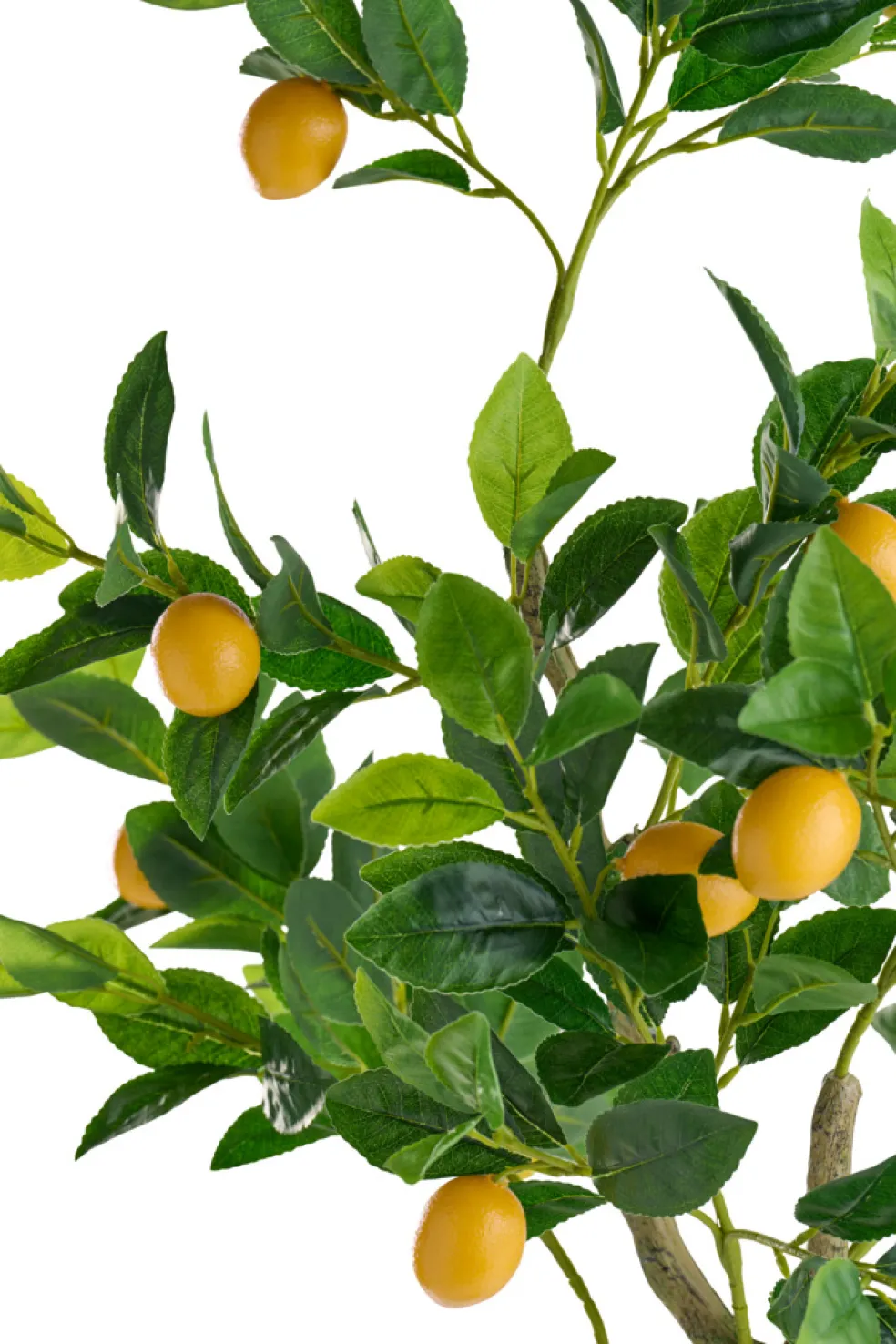 Konstväxt Citronträd 120 cm