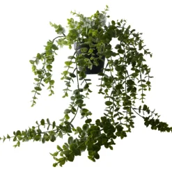 Konstväxt Eucalyptus 60 cm