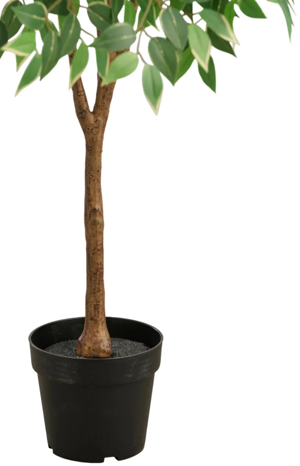 Konstväxt Fikusträd 125 cm