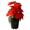 Konstväxt Julstjärna Röd 32 cm