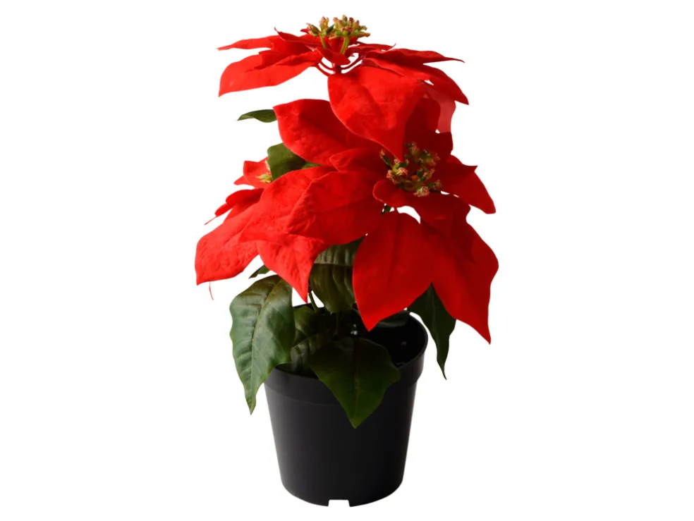 Konstväxt Julstjärna Röd 32 cm