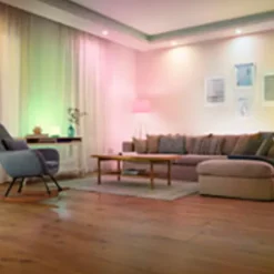 Ljuskälla Smart LED 13W/100W Philips