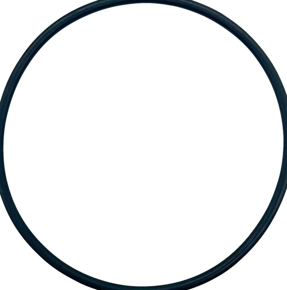 O-ring Filterhus 9