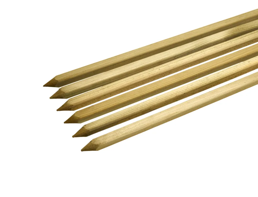 Planteringspinne 150 cm 6-pack