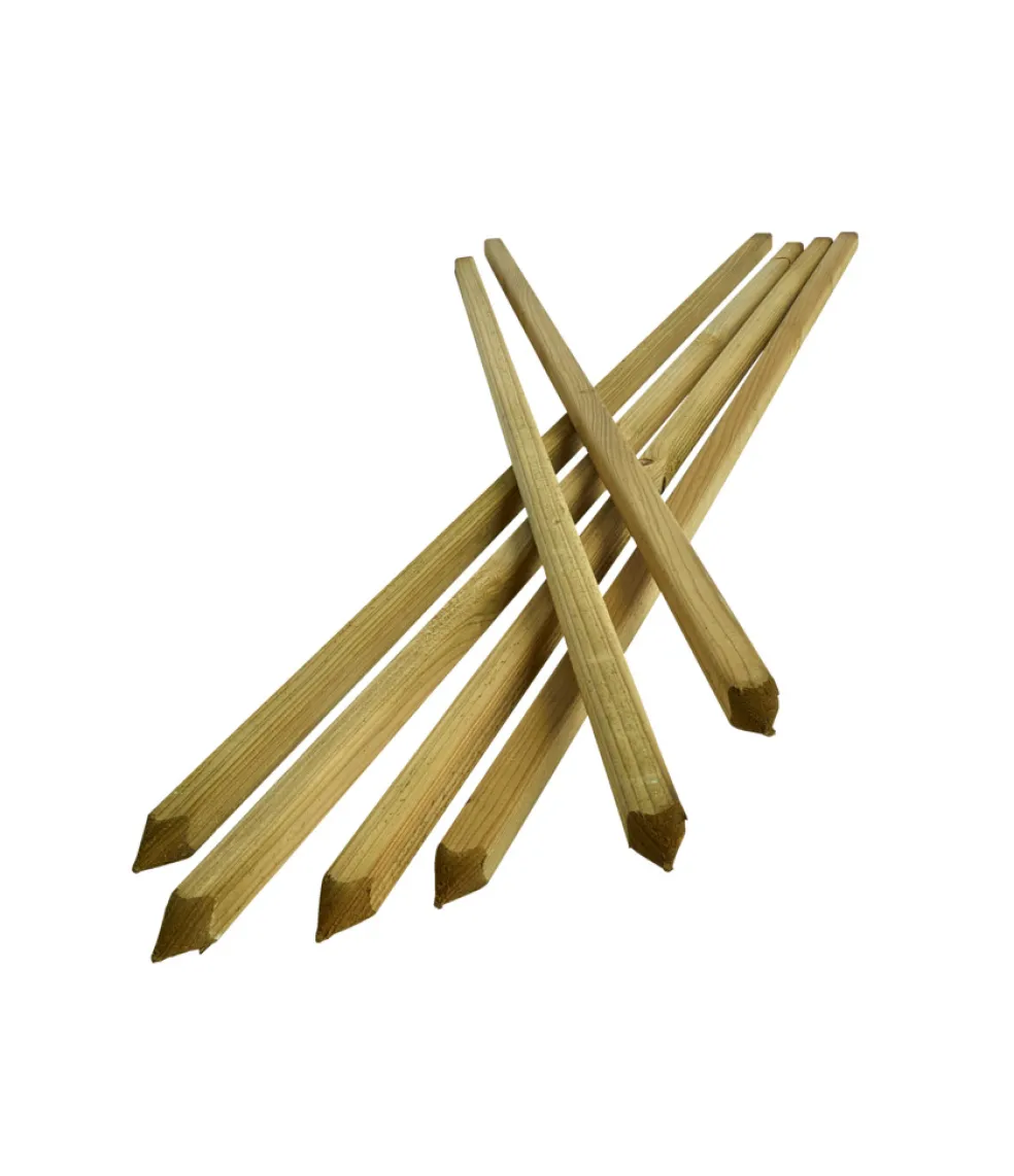 Planteringspinne 150 cm 6-pack
