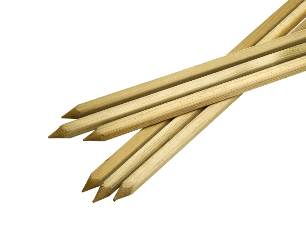 Planteringspinne 150 cm 6-pack