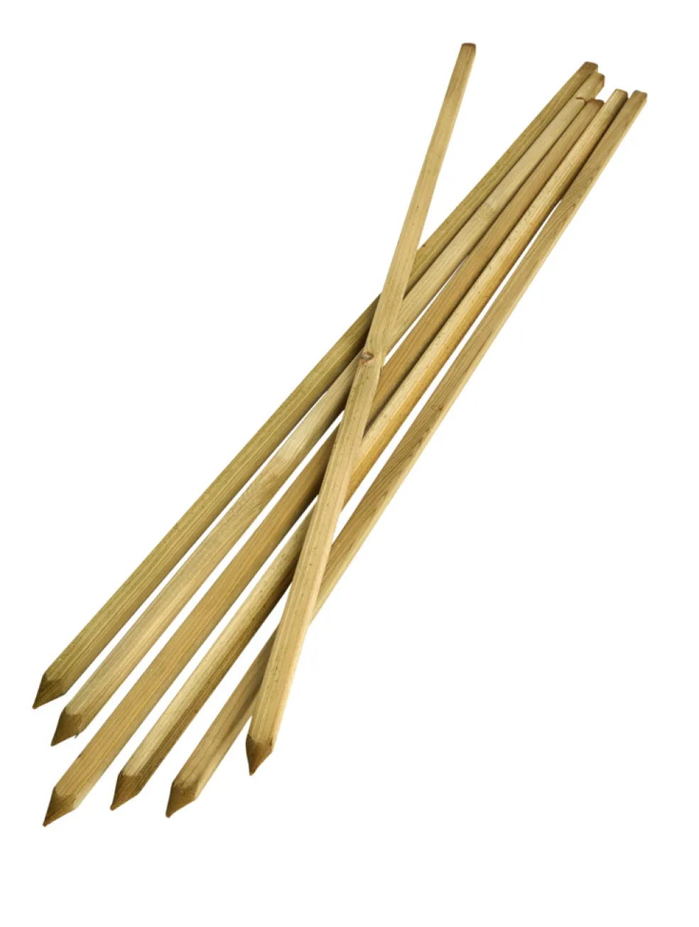 Planteringspinne 150 cm 6-pack