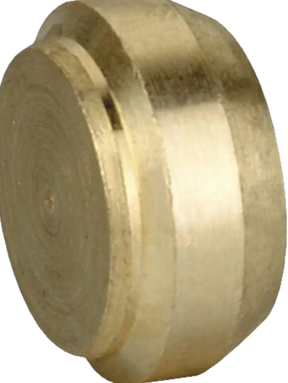 Plugg t/klämringskoppling Ø10 mm 2-pack ScandFix