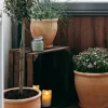 Äppellåda Natur