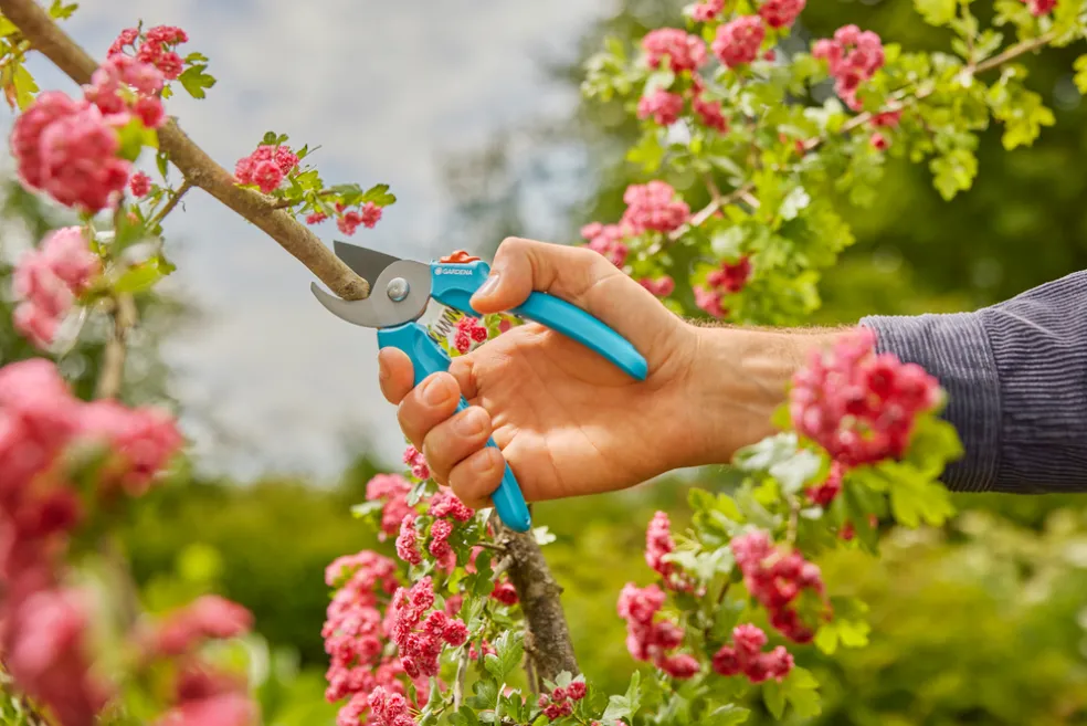 Sekatör EasyCut Gardena