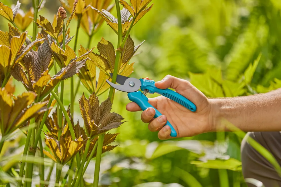 Sekatör EasyCut Gardena