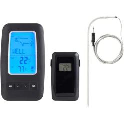Stektermometer Trådlös